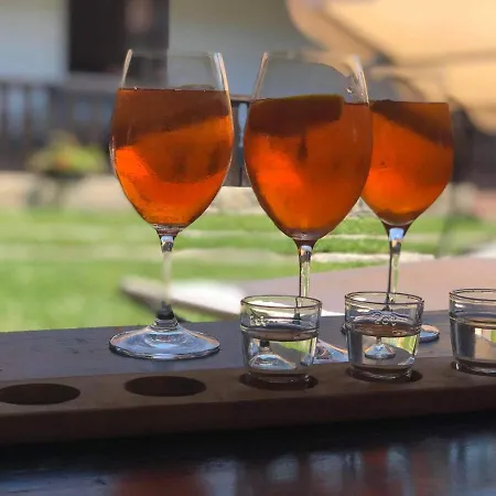 بيت ضيافة Bodrogparti Vendeghaz 3*