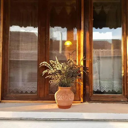 Bodrogparti Vendeghaz Guest house *