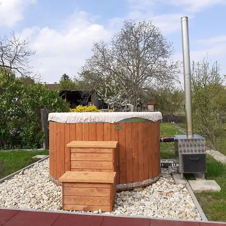 Bodrogparti Vendeghaz بيت ضيافة Sarazsadany