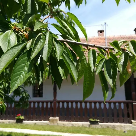 Bodrogparti Sárazsadány Casa de hóspedes Sarazsadany