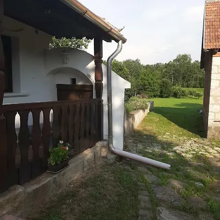 Bodrogparti Vendeghaz * Sarazsadany