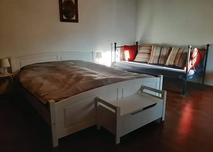 Bodrogparti Vendeghaz Sarazsadany